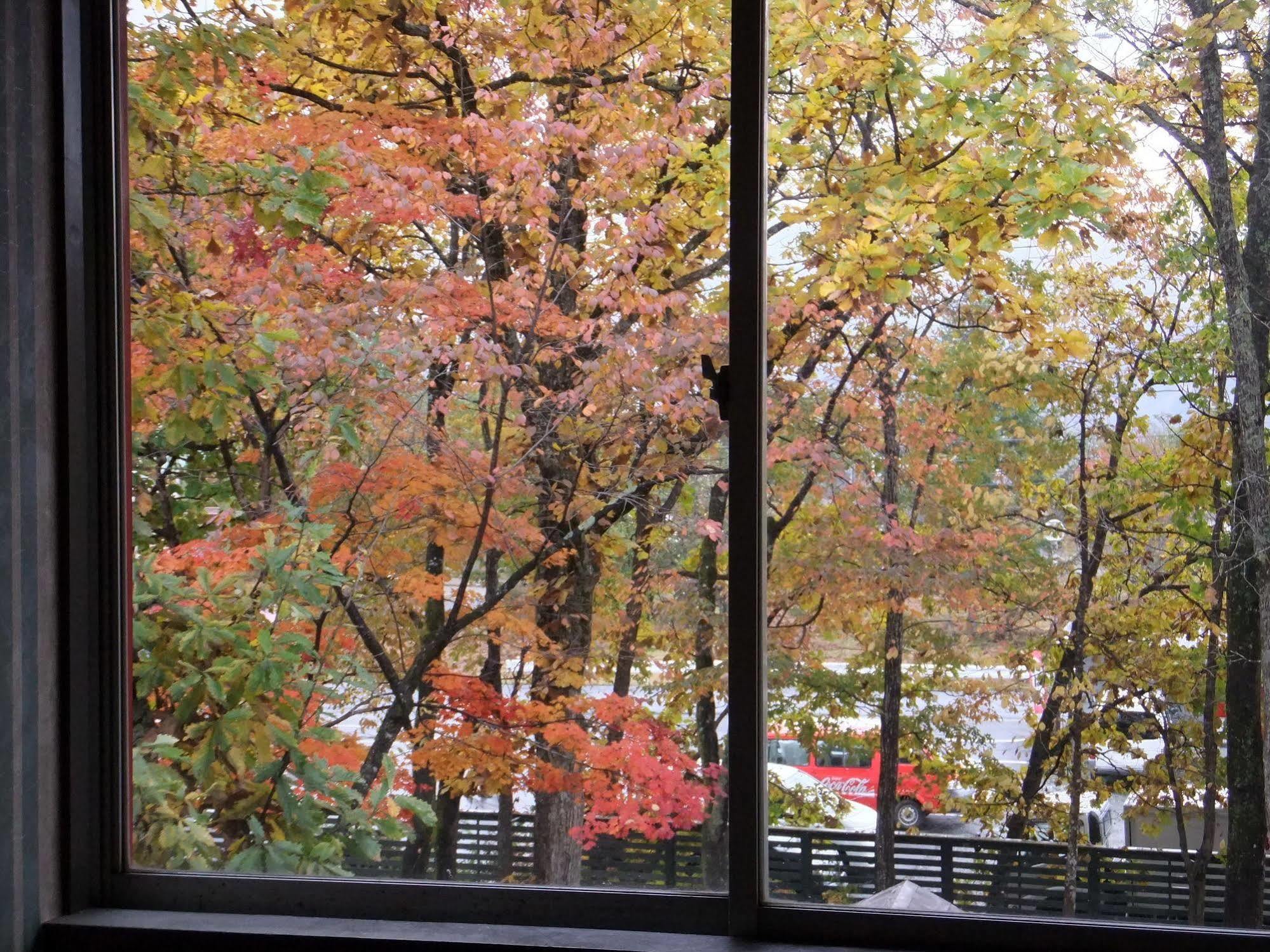 Heidihof Hotel 하쿠바 외부 사진